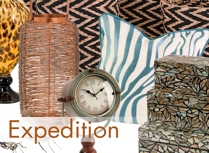 Expedition