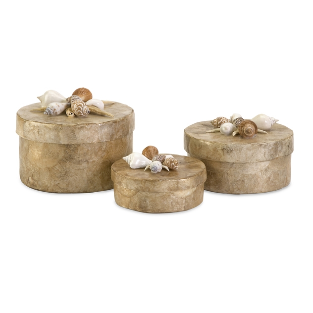 Sanibel Natural Shell Boxes - Set of 3