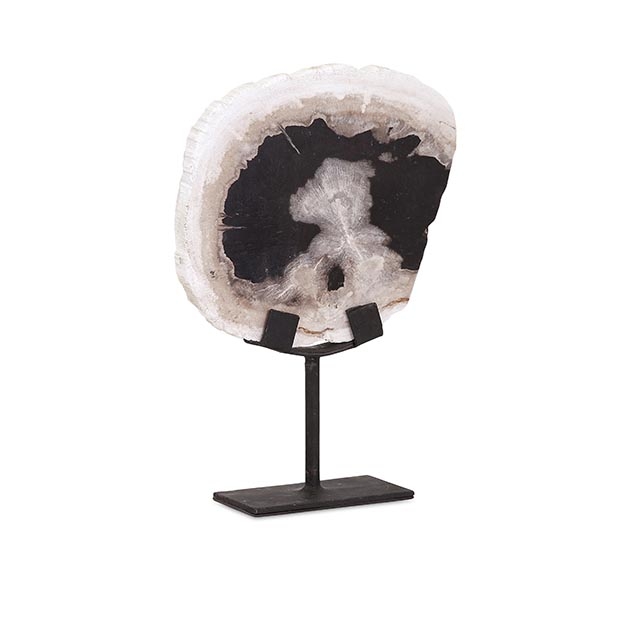 Petrified Wood Statuary Decor