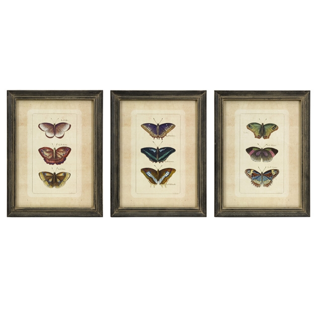 Butterfly Collection Wall Art - Set of 3
