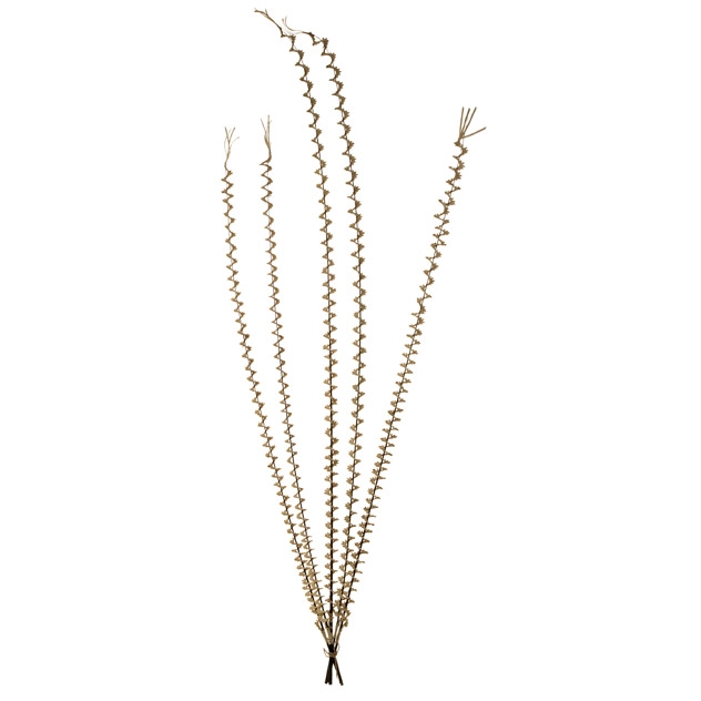 Natural Sri Flower Bundle - 5 Stems