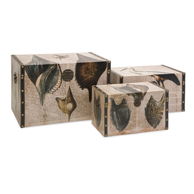 At the Beach Trunks - Set of 3