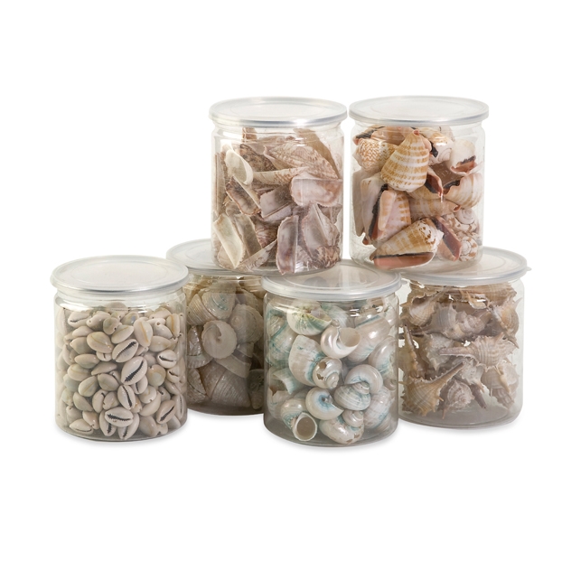 Oceana Natural Shell Filler - Ast 6