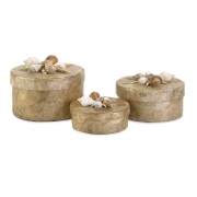 Sanibel Natural Shell Boxes - Set of 3