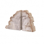 Petrified Wood Bookends