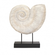 Ramsey Sea Shell on Stand