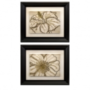Contour Line Art Flowers - Set of 2