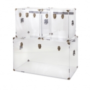 Preston Acrylic Coffee Table and Accent Trunks - Set of 3