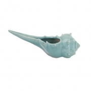Whelk Shell Planter