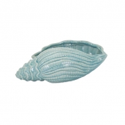 Conch Shell Planter