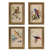 Wooden Bird Plaques - Set of 4