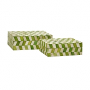 Essentials Green Apple Bone Boxes - Set of 2