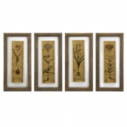 Cassander Double Glass Print Wall Art - Set of 4