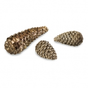 Taran Pinecone Décor - Set of 3
