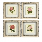 Lynette Framed Artwork - Set of 4