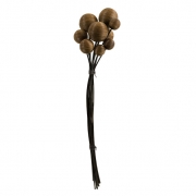 Rattan Decor Bundle - 9 Stems