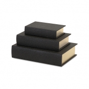 Nikki Chu Black Shagreen Book Boxes - Set 3