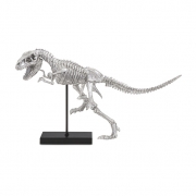 Magnus Prehistoric Dinosaur