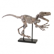 Borsari Prehistoric Dinosaur
