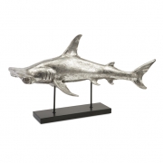Branca Shark