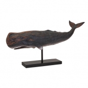 Pelagia Whale