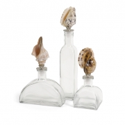 Shell Stopper Glass Bottles - Set of 3