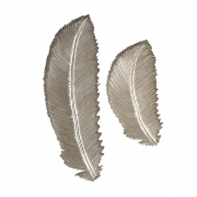 Eshe Carved Feathers - Set of 2
