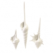 Dufour Shell Wall Décor - Set of 3