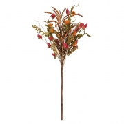 Benita Mountain Wild Flower Bundle