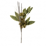 Olivia Succulent Bundle