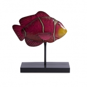 IK Splash Fish