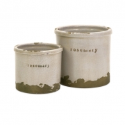 Rosemary Herb Pots - Set of 2