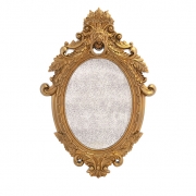 Nikki Chu Acaydia Bronze Metallic Wall Mirror