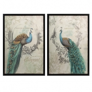 Panache Peacock Art - Set of 2