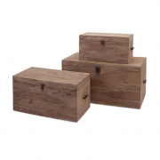 Urban Acacia Wood Trunks - Set of 3