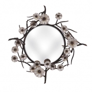 Morning Bloom Mirror