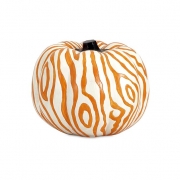 Orange Zebra Pumpkin