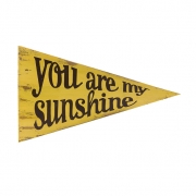 Sunshine Pennant