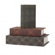 Ski Lodge Book Boxes - Set of 3