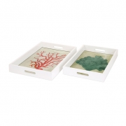 Sea Fan Wood and Glass Trays - Set of 2