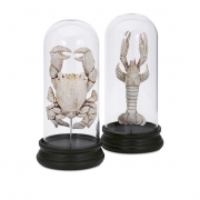 Ola Crabby Cloche - Ast 2