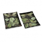 Midnight Dragonfly Botanical Platter - Ast 2