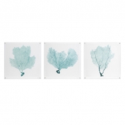 Sea Fan Acrylic Floating Wall Art - Ast 3