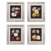 Camilla Fruit Wall Décor - Ast 4