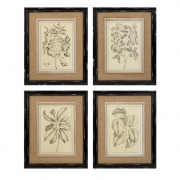 Victoriana Wall Decor - Ast 4