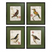 Gilchrist Framed Bird Prints - Ast 4