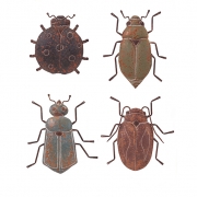 Bug Wall Décor - Ast 4