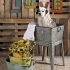 Perryman Galvanized Tub on Stand alternate image
