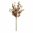 View Bellini Wild Flower Bundle