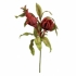 View Vivien Red Floral Bundle